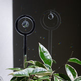 Two plant suncatchers, one with a crystal pendant elegantly suspended, another with a disco ball above a lush green potted plant, casting multicolored rainbow reflections on a neutral backdrop, perfect for modern plant décor enthusiasts.