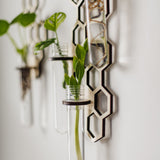 propagation wall gifts for houseplant lovers