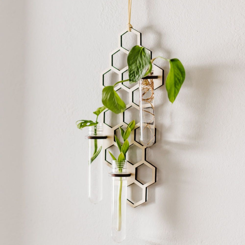 Honeycomb Hanging Propagation Station