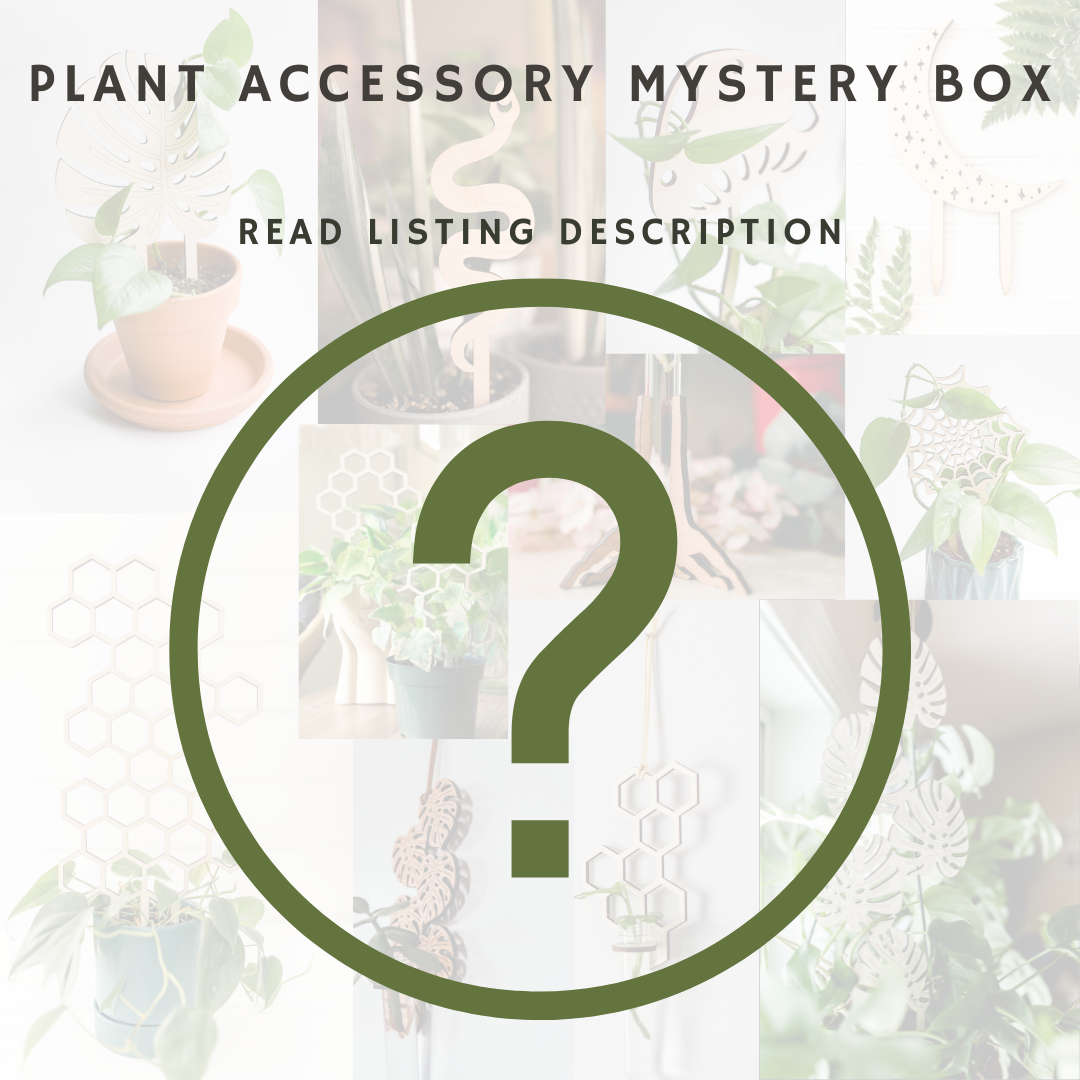 indoor plant accessories mystery box