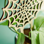 spiderweb indoor trellis for pots