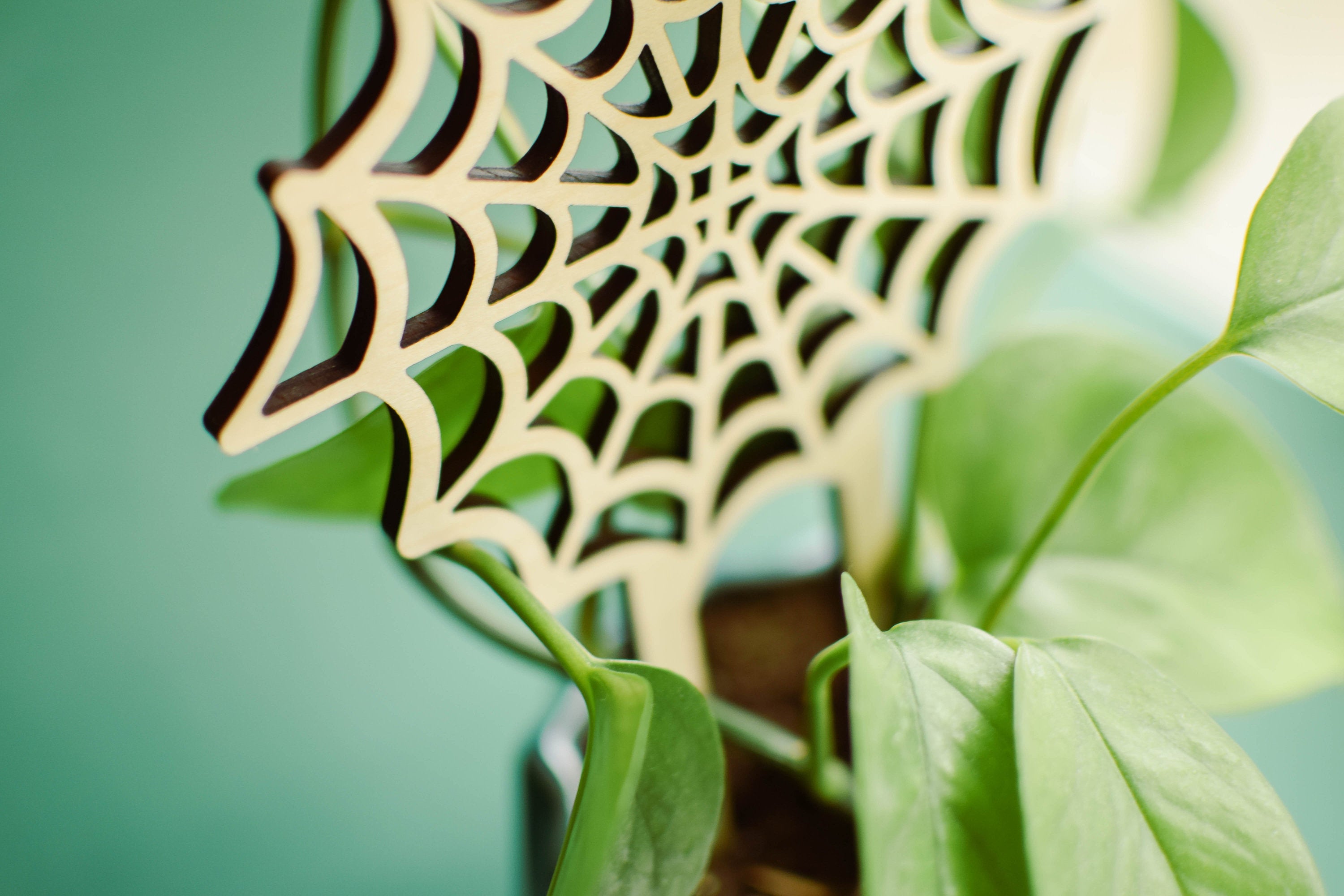 spiderweb indoor trellis for pots