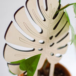 Monstera leaf houseplant trellis for climbing plants