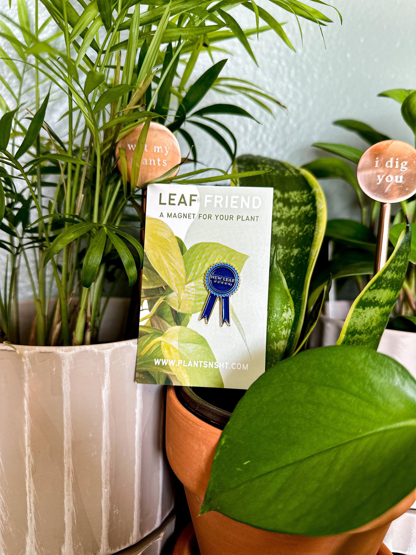 Leaf Friend Plant Magnet