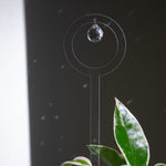 Minimalistic plant suncatcher design with a delicate crystal element, surrounded by scattered rainbow reflections on a dark backdrop, enhancing plant décor and presenting a thoughtful gift idea for nature enthusiasts.