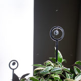Disco ball plant stick casting silver sparkles and reflections on the wall behind it