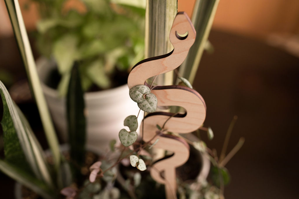 Snake indoor trellis for potted plants