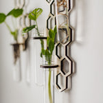propagation wall gifts for houseplant lovers