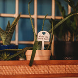 An aloe plant in a orange pot with a wooden marker reading 'aloe you vera much', placed on a wooden tray. Adjacent are other potted plants on a blue background.