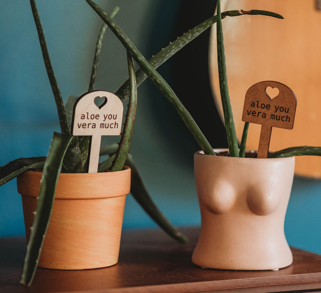Two potted aloe plants are showcased on a wooden surface, each adorned with a plant marker playfully reading 'aloe you vera much'. One plant sits in a classic terracotta pot, while the other is housed in a unique, ceramic pot with a human-like shape. This juxtaposition creates an eye-catching contrast, merging the natural with the anthropomorphic. To the right, a partial view of an acoustic guitar hangs on a vibrant blue wall.