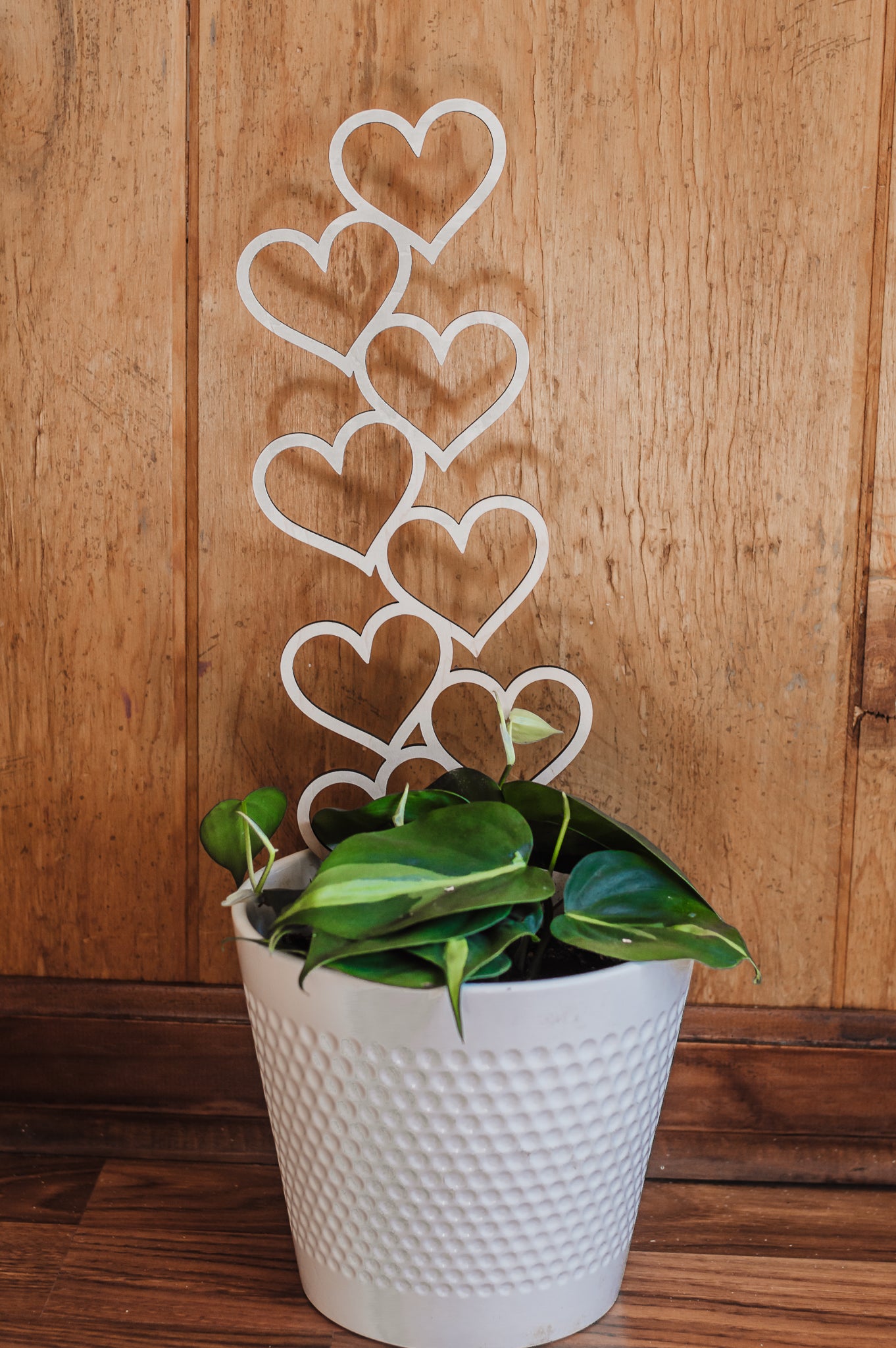 Wooden Indoor Plant Heart Trellis inside a white planter