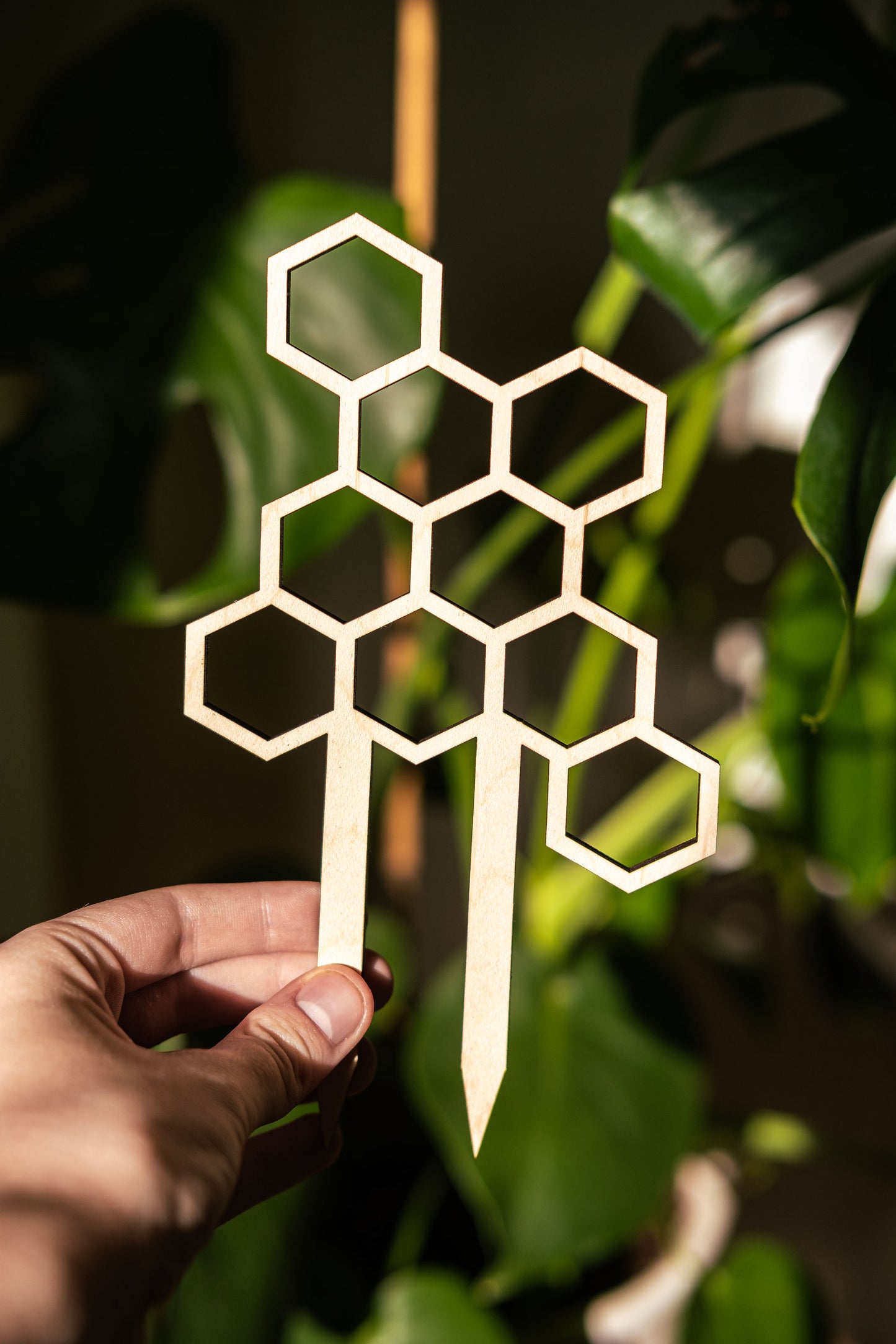 honeycomb plant trellis for pots