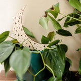 crescent moon indoor plant trellis for potted plants