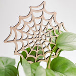 spiderweb indoor trellis for climbing plants