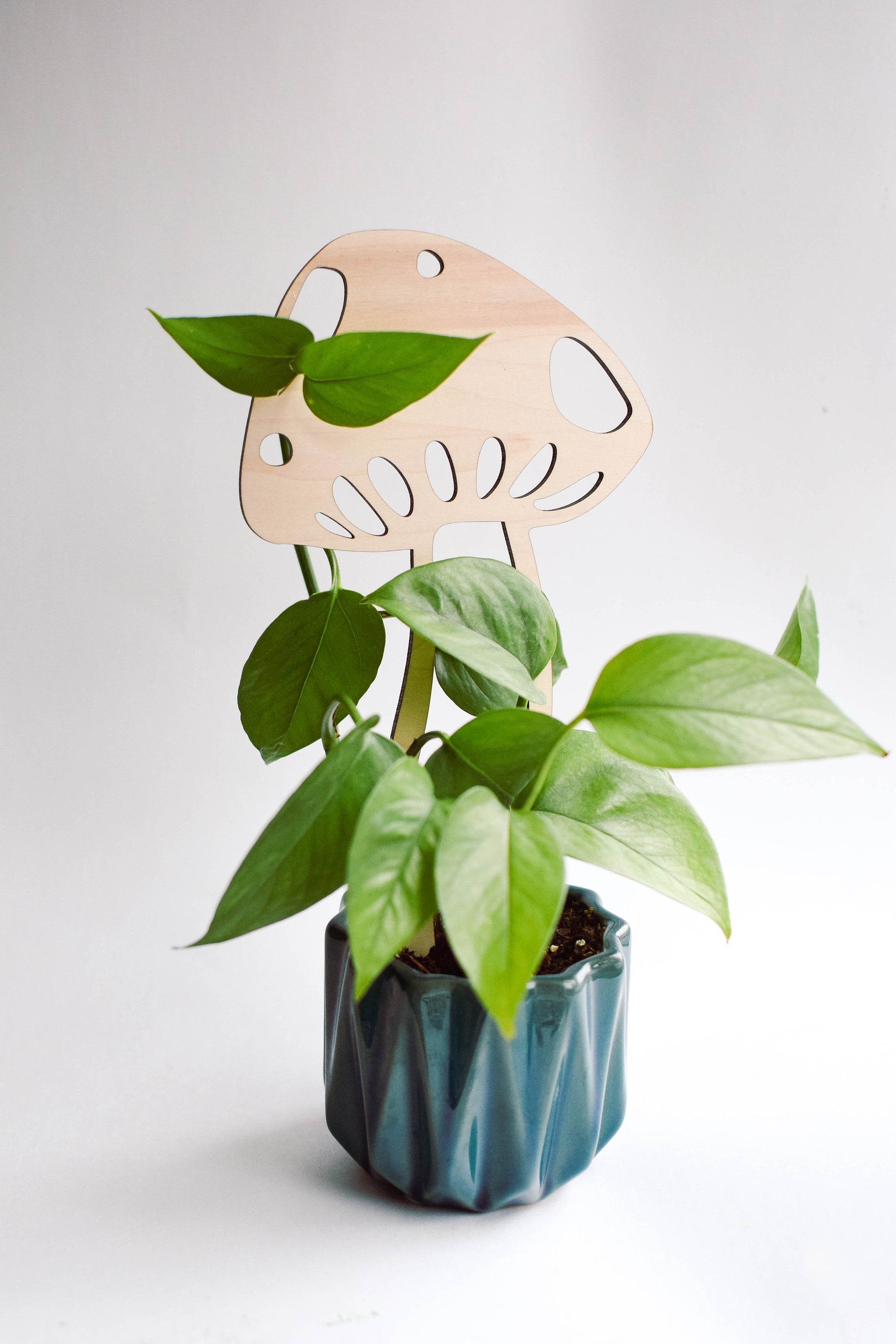 mushroom indoor plant trellis for pots