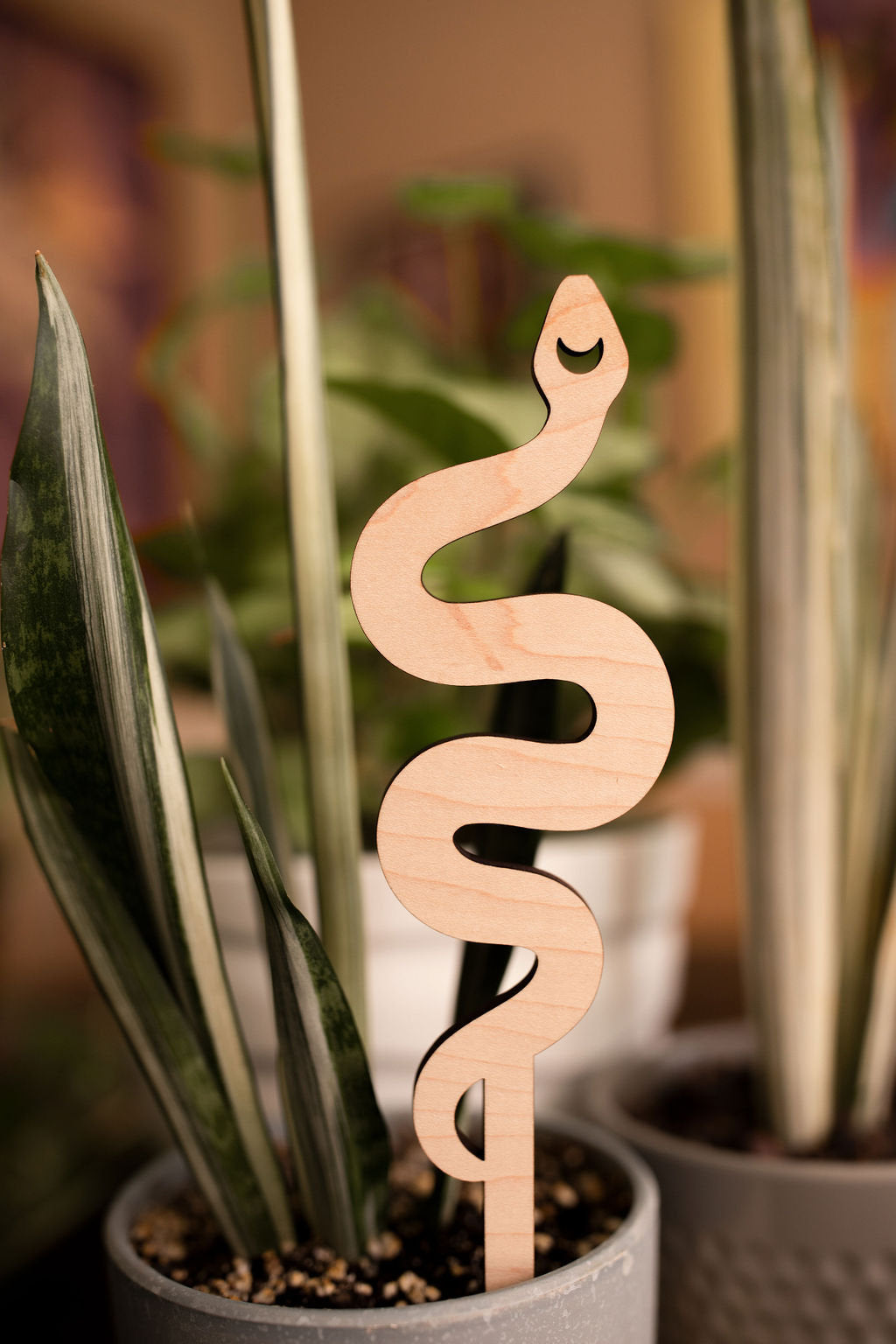 Snake houseplant trellis for pots