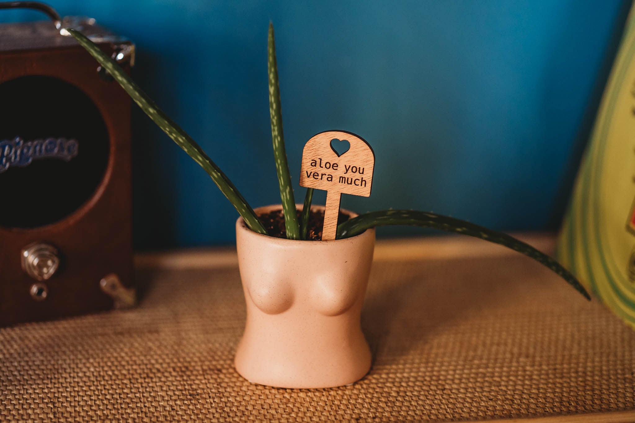 Aloe plant with green spiky leaves housed in a beige ceramic boob pot on a woven surface, accompanied by a wooden marker inscribed with 'aloe you vera much' against a deep blue background.