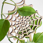 spiderweb houseplant trellis for climbing plants