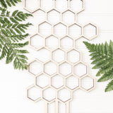 honeycomb trellis for indoor plants