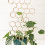 honeycomb trellis for pots