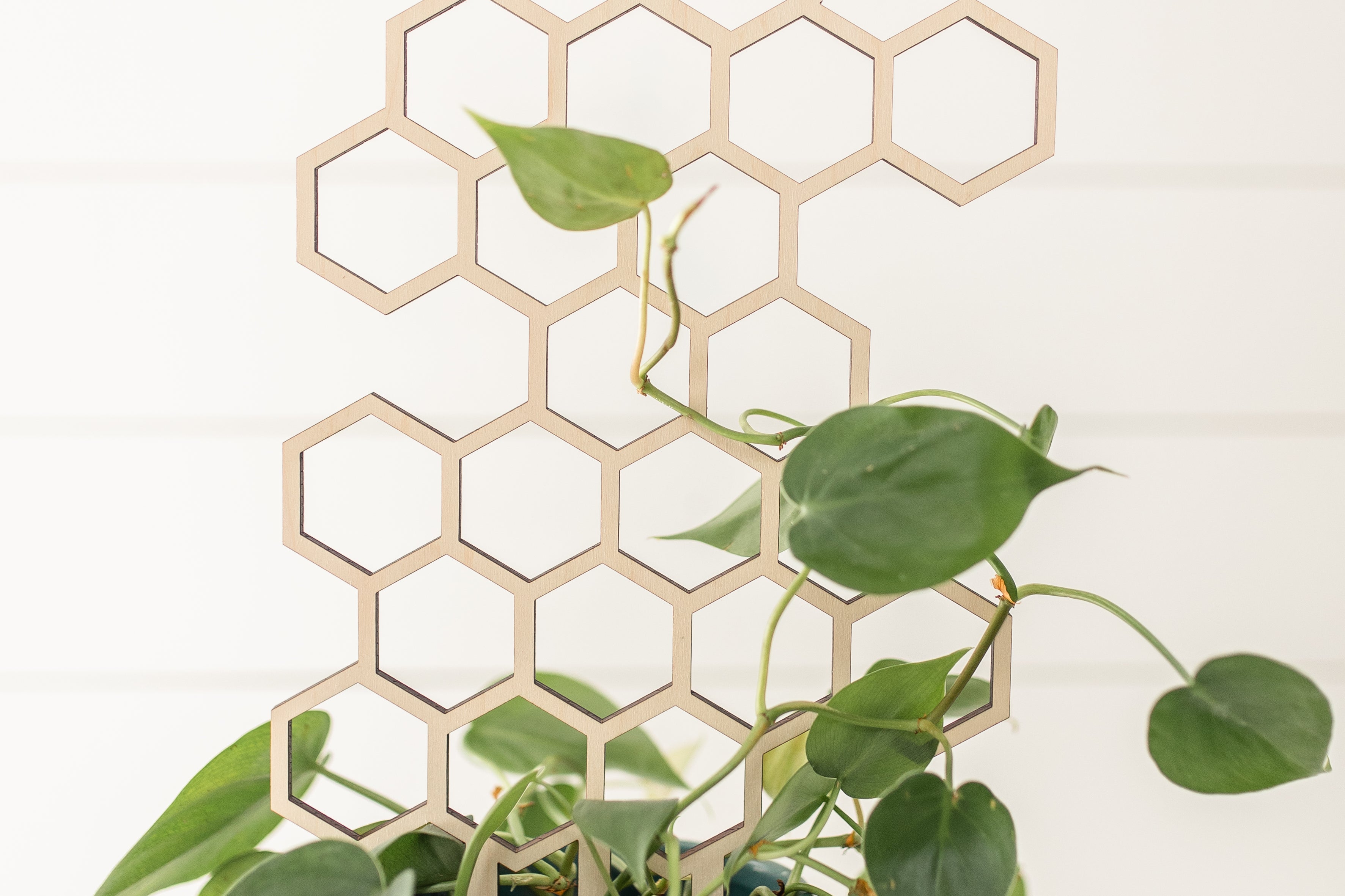 honeycomb trellis for pots